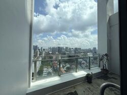 Connexion (D8), Office #569188501